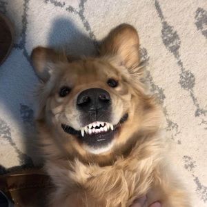 Meet your Posher, Christopher